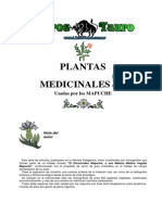 Aukanaw - La Ciencia Mapuche Plantas Medicinales