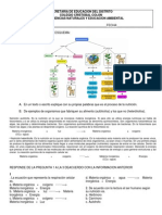 Evaluacion Parcial 6 16.08.2013