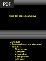 Surat Kuasa NPWP