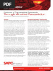 Production of Pharmaceutical Compounds Through Microbial Fermentation