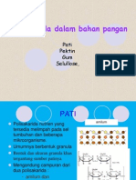 Polisakarida DLM Bahan Pangan