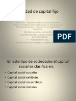 Sociedad de Capital Fijo (1)