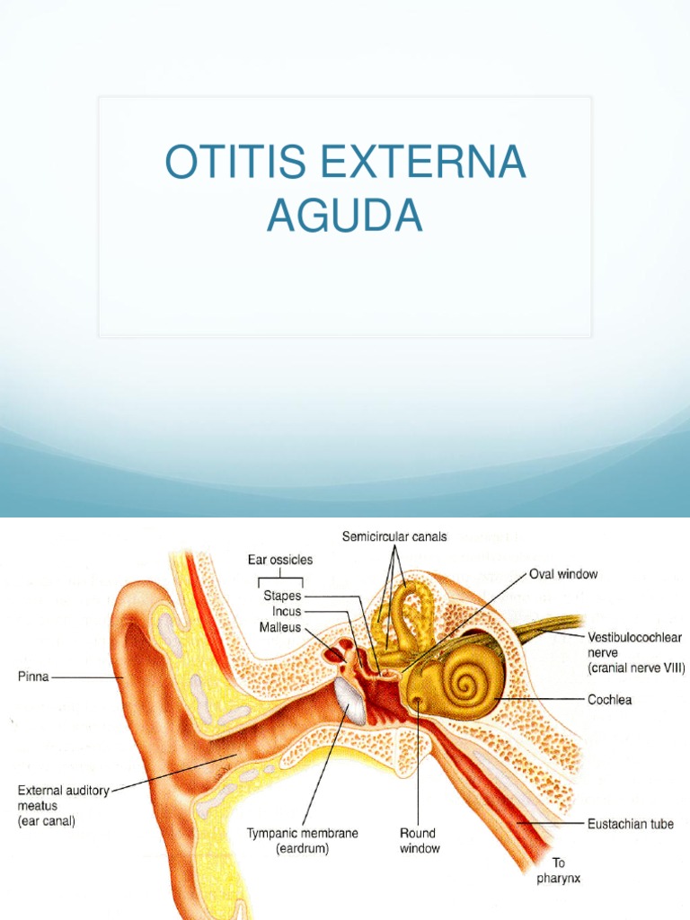 Miringitis y Otitis Externa: Guía Clínica | PDF | Inmunología ...