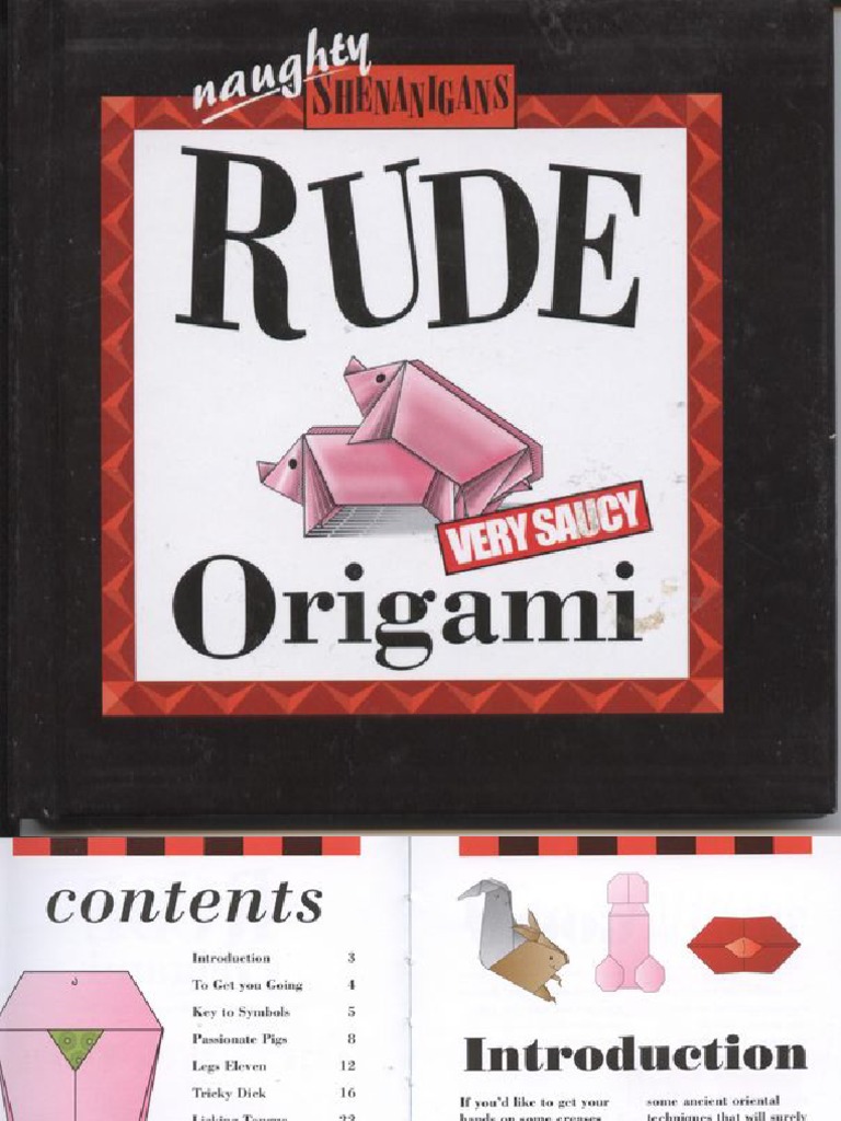 Rude Origami PDF