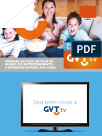 Gvt Tv Manual