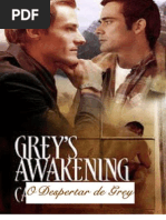 02 - O Despertar de Grey