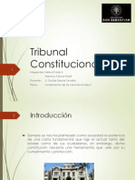 Presentacion Tribunal Constitucional