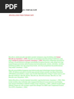 Download BRUCELLOSIS PADA TERNAK SAPIdocx by Isnin Ramadhani Nafiu SN173243343 doc pdf