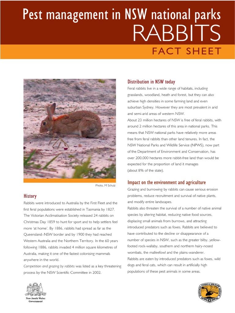 factsheetrabbits Rabbit Introduced Species