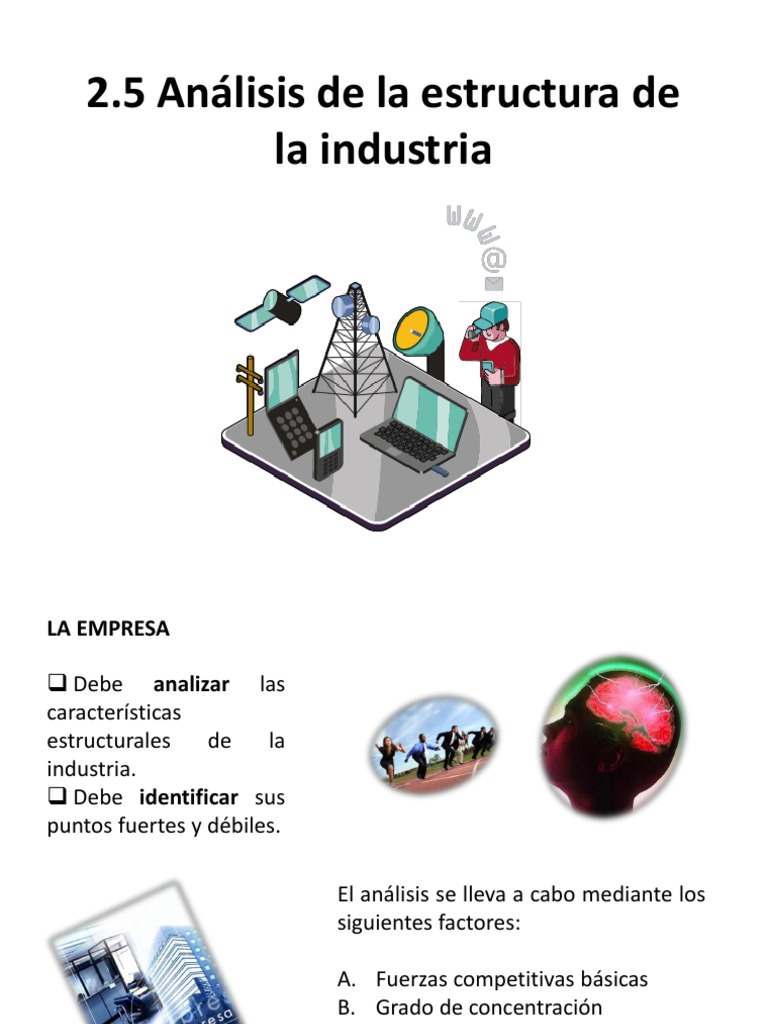 2.5 Analisis de Estructura de La Industria