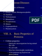 protozoa (2).ppt