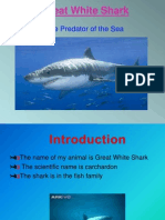 Shark Powerpoint