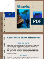 Sharks.ppt