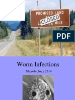 Worm  Slides.ppt