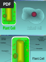 Download Animal and Plant Cells by Calvin Eriksson SN17336753 doc pdf