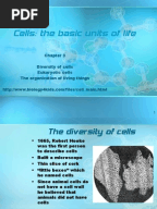Cell Organelles Worksheet KEY | Organelle