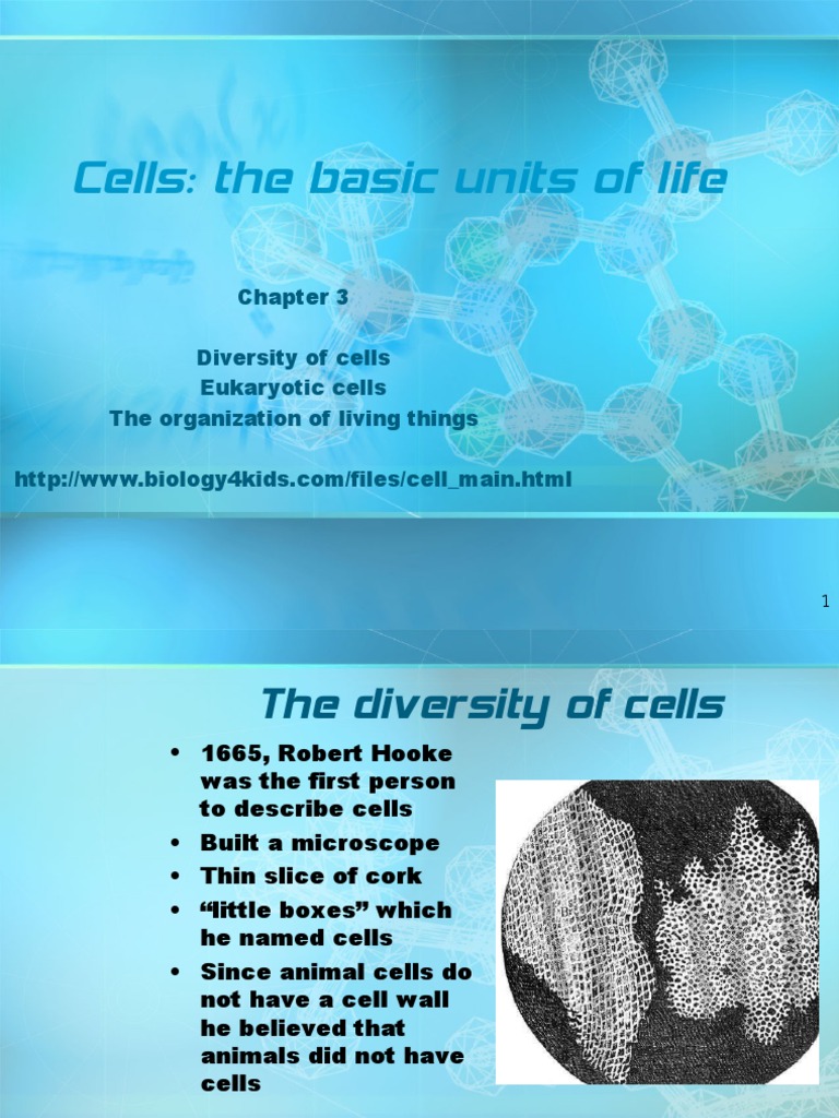 Cell Structure I | PDF | Endoplasmic Reticulum | Cell (Biology)