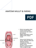 Lab Act Anatomi - Mulut & Faring