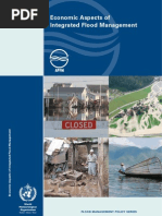 Ifm Economic Aspects