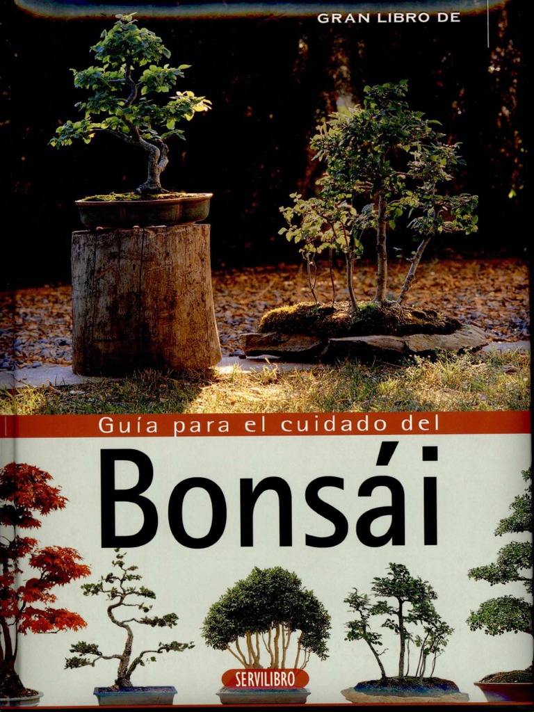 Cuáles son los cuidados especiales que debes darle a las plantas del jardín  - Mejor con Salud, image size:768x1024