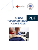 CURSO RCCP 26 Octubre PDF