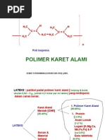 Download 06-Polimer Karet alam by yusuf_6423 SN17344437 doc pdf