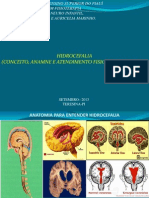 HIDROCEFALIA: CONCEITO, SINAIS E TRATAMENTO FISIOTERÁPICO