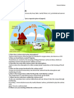 carbon cycle