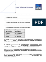 Alimentos e Nutrientes - Ficha de Trabalho de Preparação para o Teste