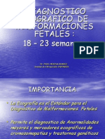 Malformaciones Fetales II Trimestre