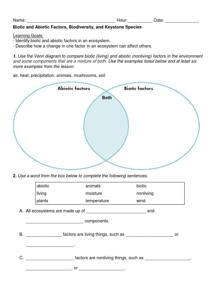 13 2 Worksheet Ecosystem Nature