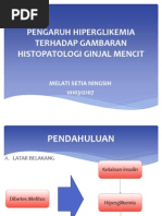 Download Pengaruh Hiperglikemia Terhadap Gambaran Histopatologi Ginjal Mencit by Melati Setia Ningsih SN173510801 doc pdf