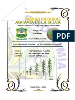 InformeDEL CICLO Cultivo Maiz