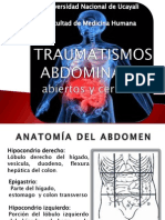 Anatomía y lesiones abdominales en traumatismo
