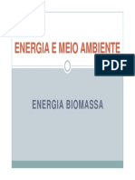 Energia Biomassa