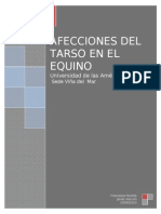 Afecciones Del Tarso en El Equino