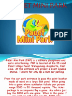 PACET MINI PARK.pptx