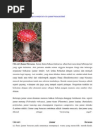 Download Ciri-ciri Jamur Beracun by Sulianti Indah Sari SN173627368 doc pdf