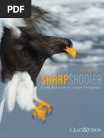 Download Sharp Shooter by tolook SN173658213 doc pdf