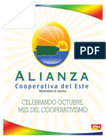 Cooperativas 2013 PDF