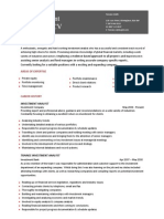 Investment Analyst CV Template