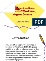 Hydropericardium-Hepatitis Syndrome, Angara Disease