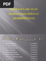 Download Manfaat Labu Siam Sechium Edule by Moch Syaiful Khabi SN173694796 doc pdf