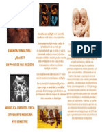 Folleto Embarazo Multiple PDF