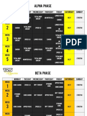 Focus T25 Workout Schedule | Pdf