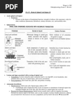 Download Pathophysiology Exam 4 - Review by Waqas Gill SN173715858 doc pdf