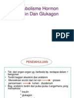 Endokrin Insulin Glukagon