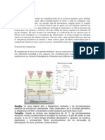 Trabajo de Micro191