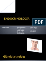 Endocrinología MN