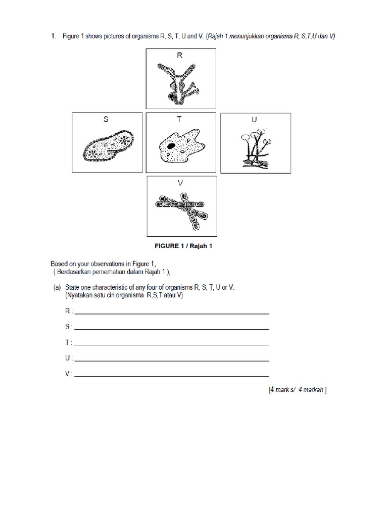 Bab 2 Sel Sebagai Unit Asas Hidupan Sains Tingkatan 2 Pdf